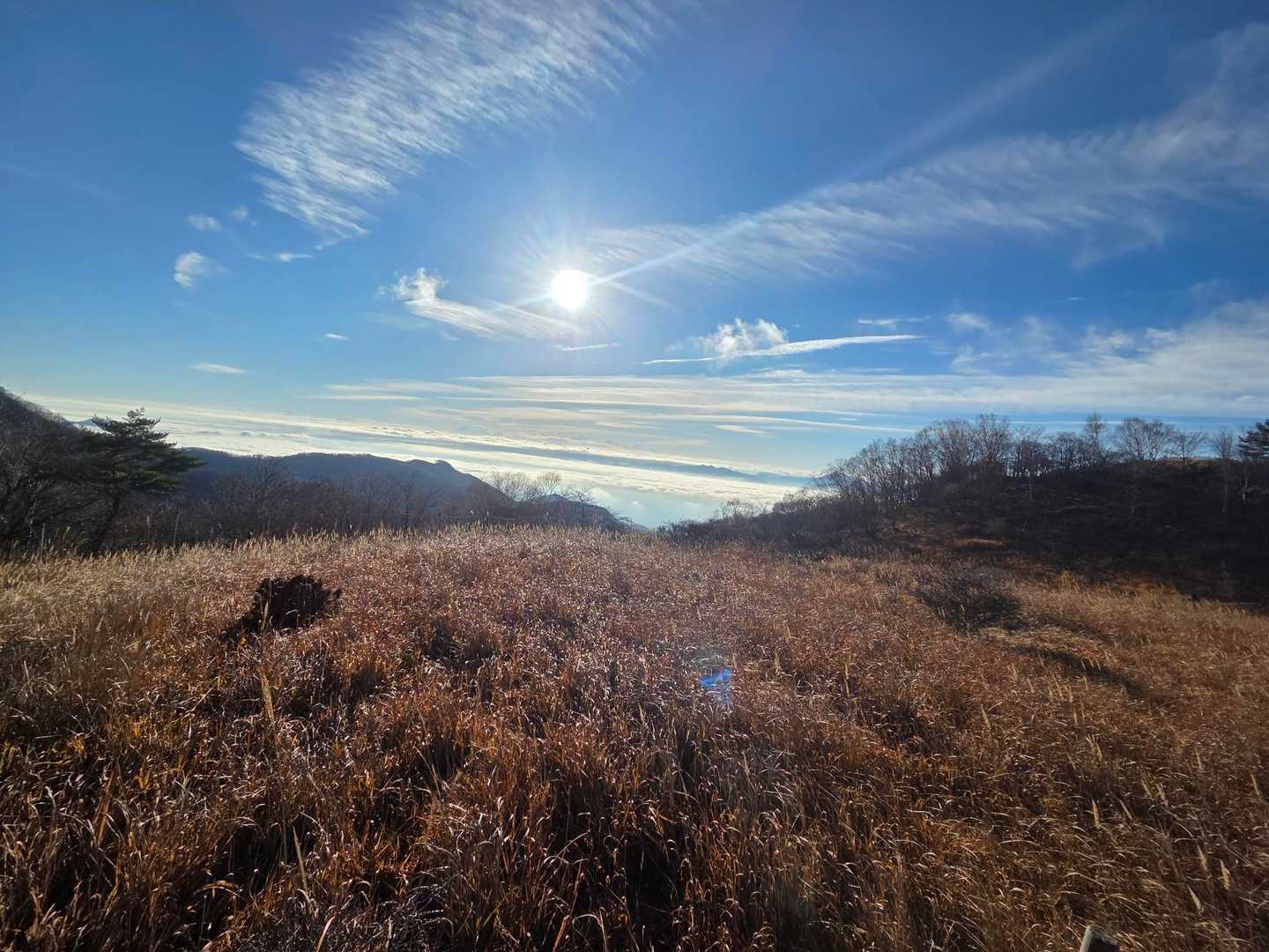 湯ノ沢峠登山口-湯の沢峠-大蔵高丸-ハマイバ丸-白谷ノ丸 周回コースの写真