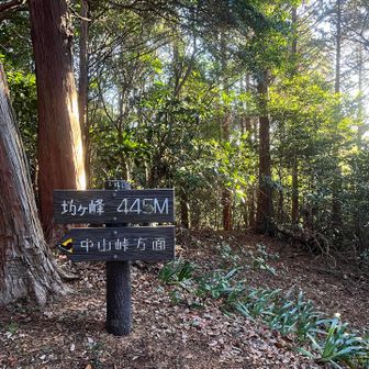 到着。息切れ。