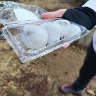 ここで、ゆかりんさんから塩大福の差し入れ😋。
エネルギーチャージ出来たので、あと１キロ頑張ります👍