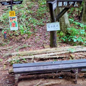 富士見峠、同年輩のソロが休憩中
今日始めて出会った人です。