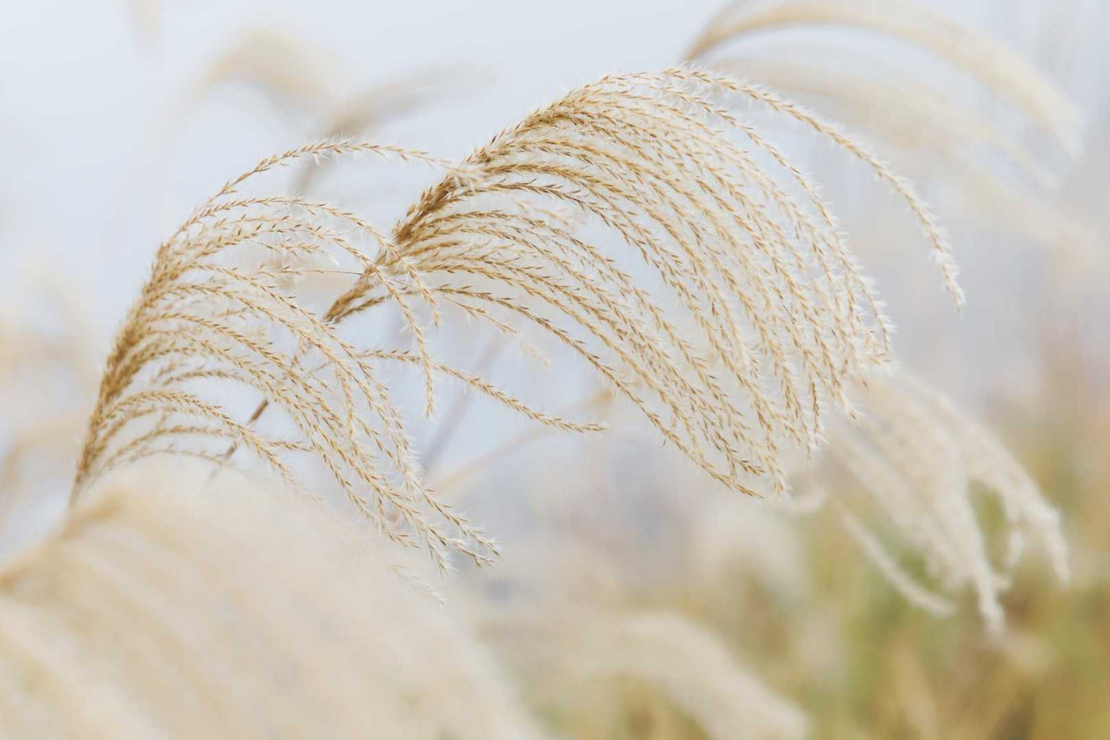今年は条件悪くていいの撮れなかった🙈