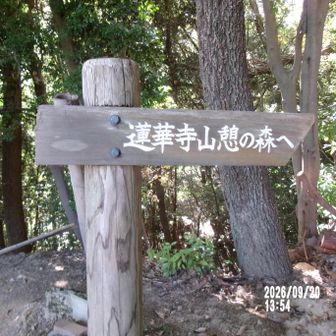 蓮華寺憩の森入口