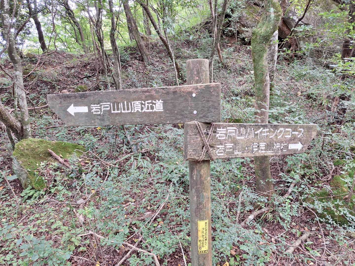 山頂へ向かう２通りのルートの分岐。近道の方をを行きます。ハイキングコースと書いてある方は、遠回りな上に笹が密集して歩きにくいらしい。
