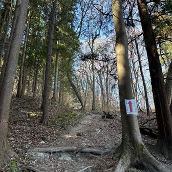 この坂&階段を登ったら山頂