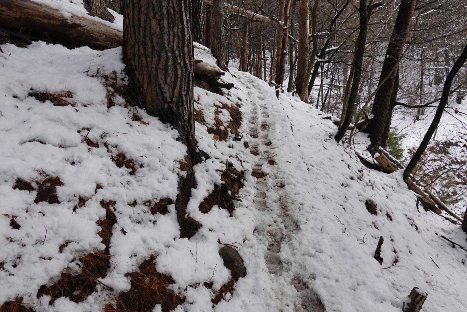 雪が溶けてきて、滑る滑る😅‪‪