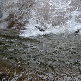 鼻に水入る