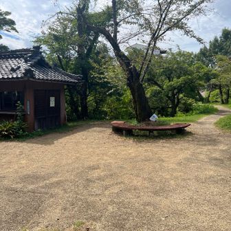 戻ってきた😀