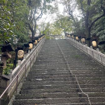 ほんでこの階段。