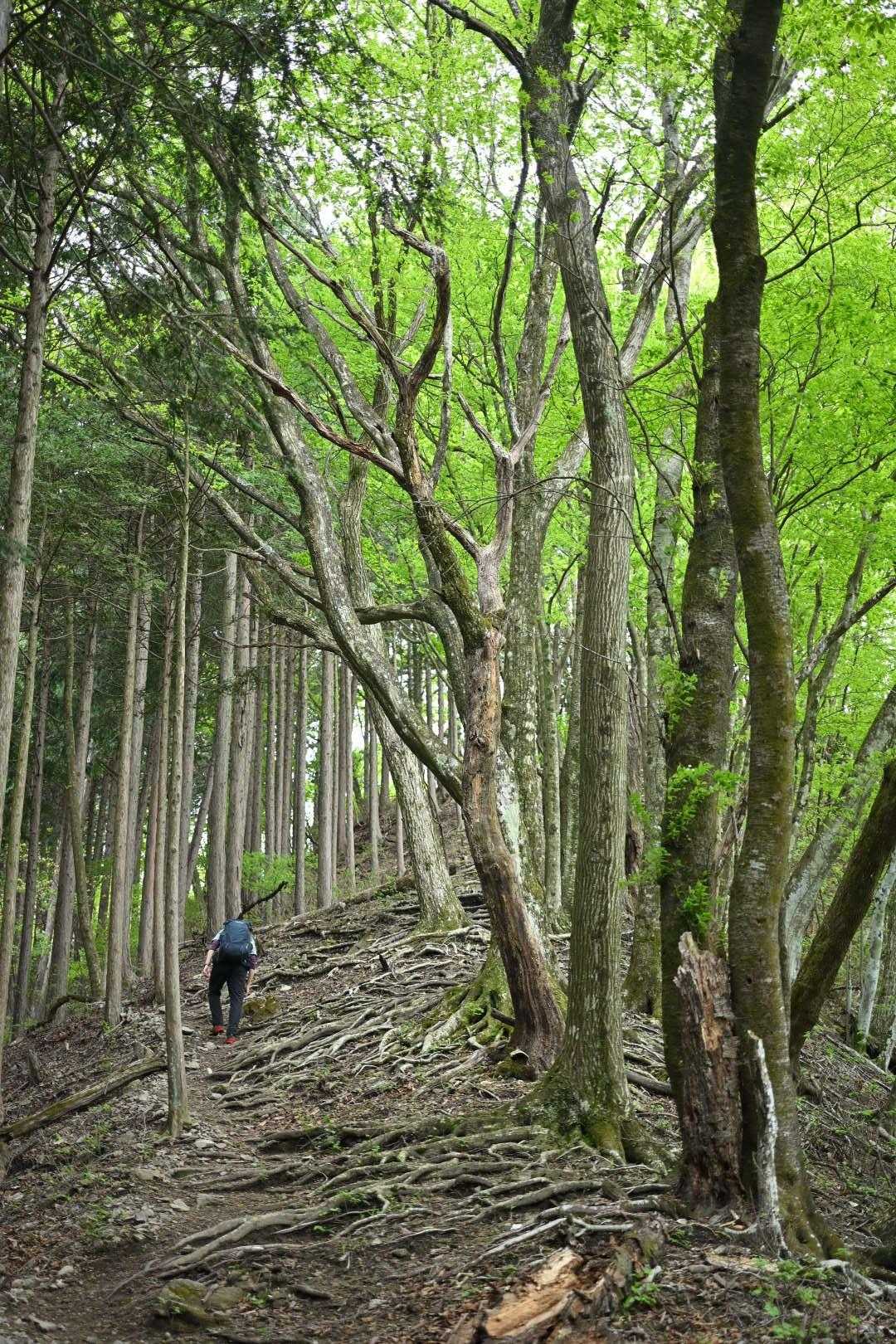 ピークハントのために帰路も何度か登り返した