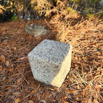 思わぬ所に三角点あり⛰️