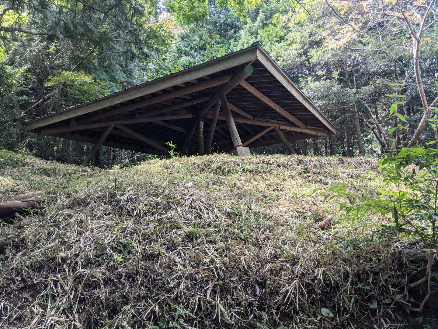東屋まで降りて来ました👍