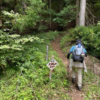 🅿️から10歩で登山口
