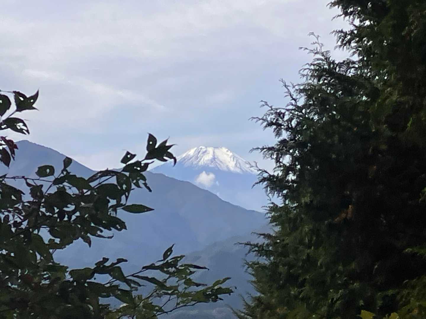 おおっ！富士山が望めました〜♪