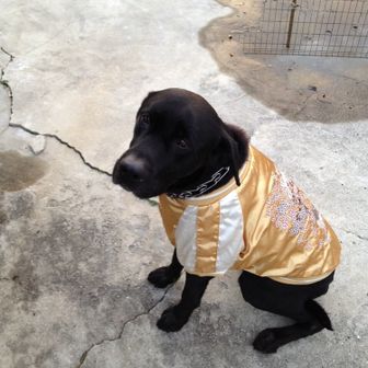 だいち(登山部、浜ちゃん’s)