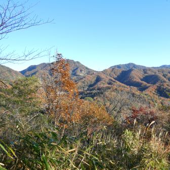結構いい景色が
見られます背山👍