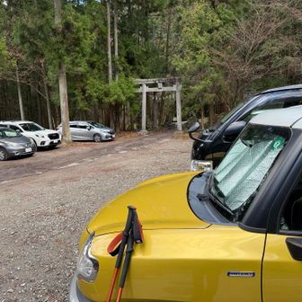 いつも人気です