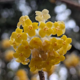 角度な日の当たり方でいろんな顔