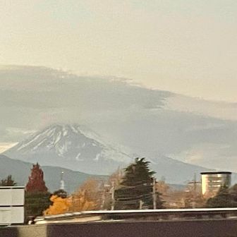 新幹線から一瞬、見えた！🗻