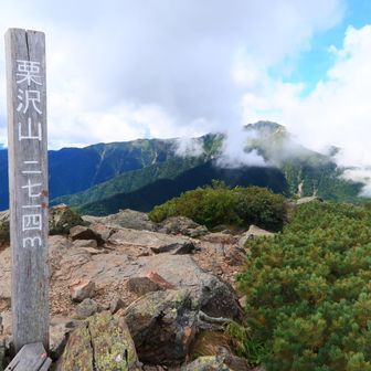 どひゃ〜💦
急登で全然足が動かなくてキツかった〜