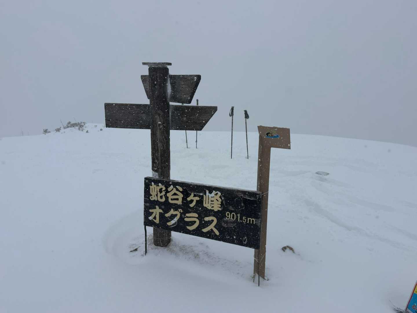 蛇谷ヶ峰 往復コースの写真
