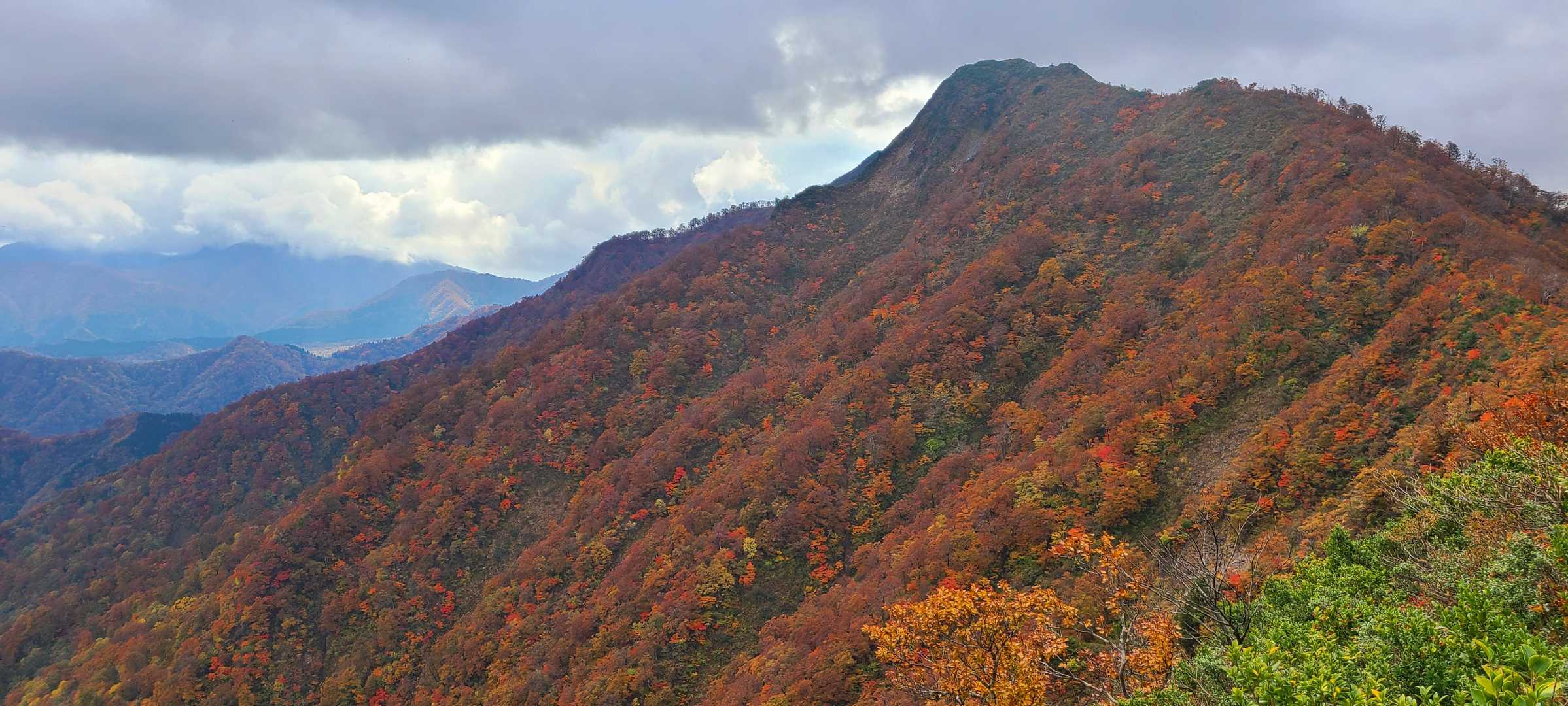 甲ヶ山のほう、紅葉良い感じ‼️