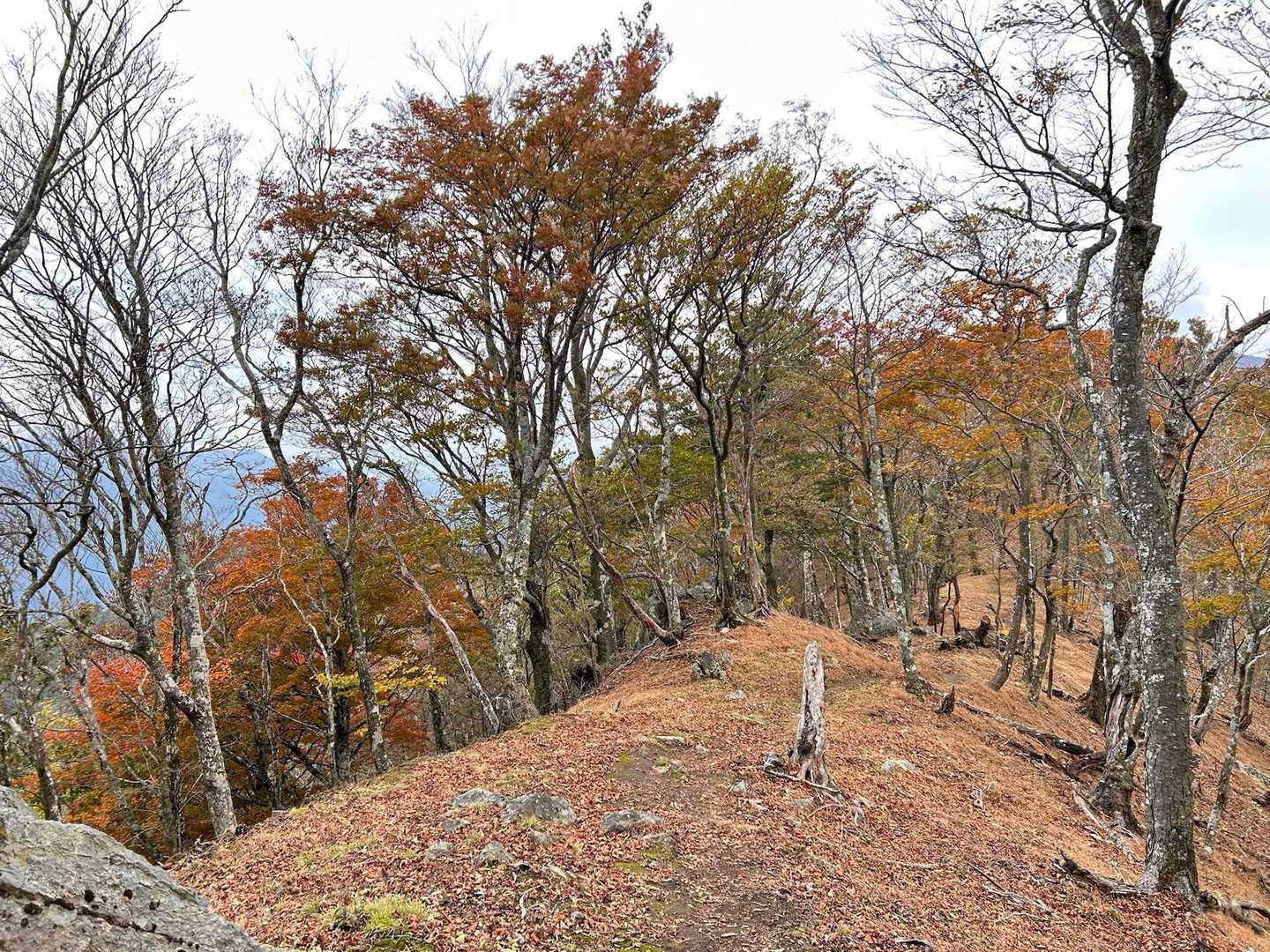 九折越登山口-九折越-傾山 往復コースの写真