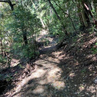 山道になっちゃった