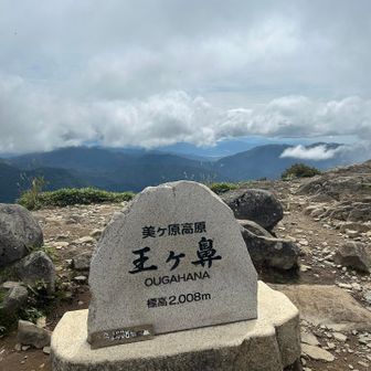 次は鼻