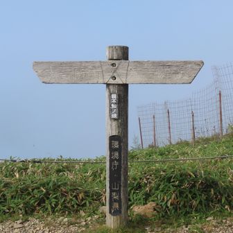 親不知ノ頭