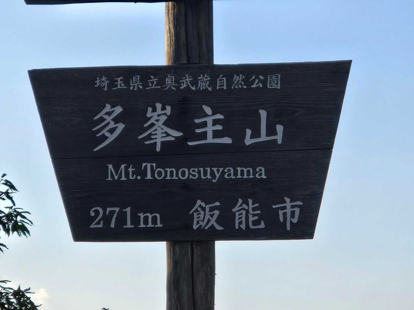 飯能駅-天覧山-多峯主山-ドレミファ橋 周回コースの写真