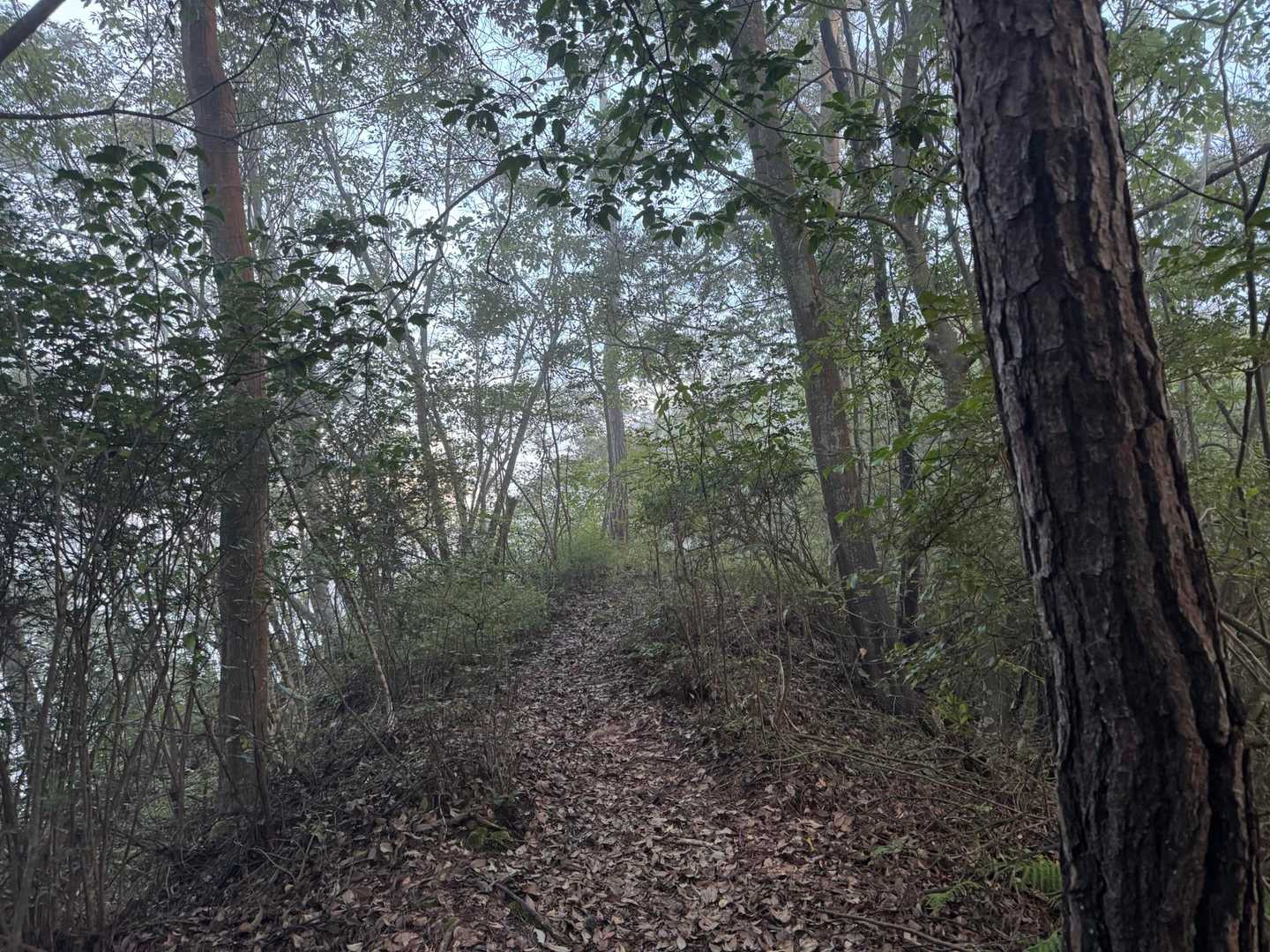 さぁ、どんな景色が待ってるかな😚