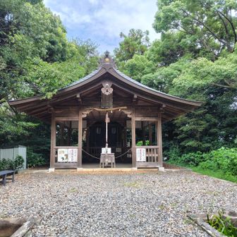 愛宕神社に着いたけどやしろの奥に道がない
手前の階段の途中に分岐がありました
ここで突っ込まないのは成長だ