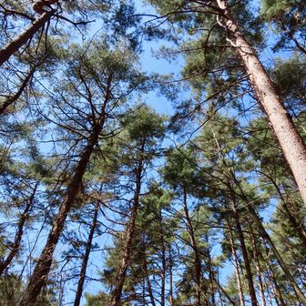 どうです？どんな感じですか？
と、ガイドの練習をしてみる☺️