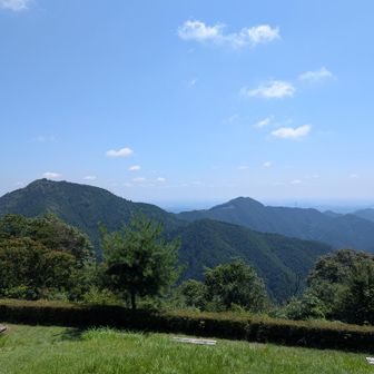 涼しい東屋でモグモグタイム🍊