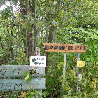 ６座目「百々ヶ峰」