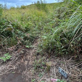 ひとつ上の登山口に降りてきました
車まで道路歩き