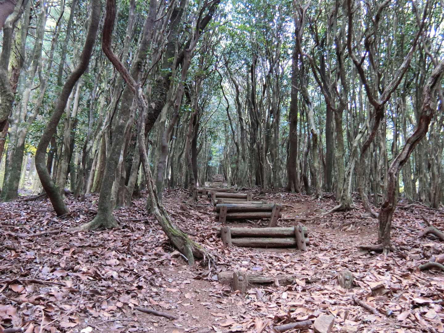 階段地獄も