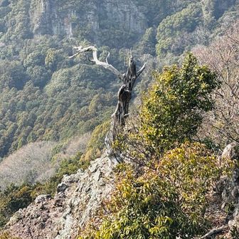 この先従走路でただの「峠」というピークが有ります。