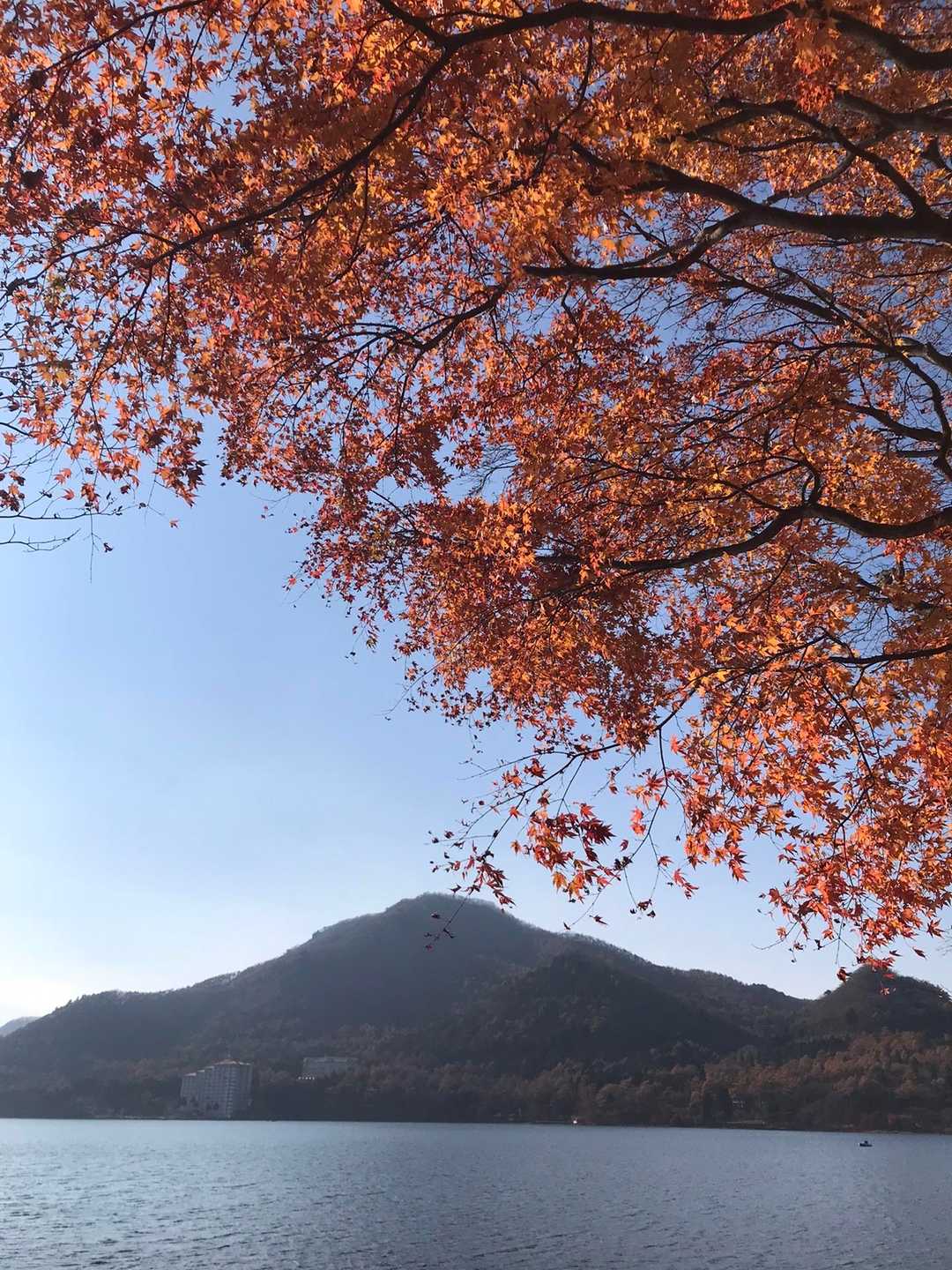 榛名富士登山口-榛名富士-烏帽子ヶ岳-ロッジ前バス停 周回コースの写真