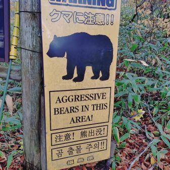 熊鈴🔔
付けて
山の神様に、お礼を
して、登山者カードを出して出発です💨