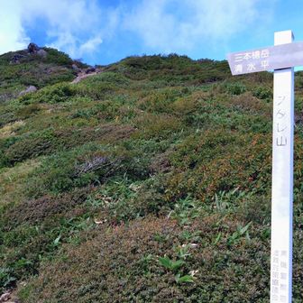 ずっと下って行くとスダレ山の標柱がありました。ちょっと謎。