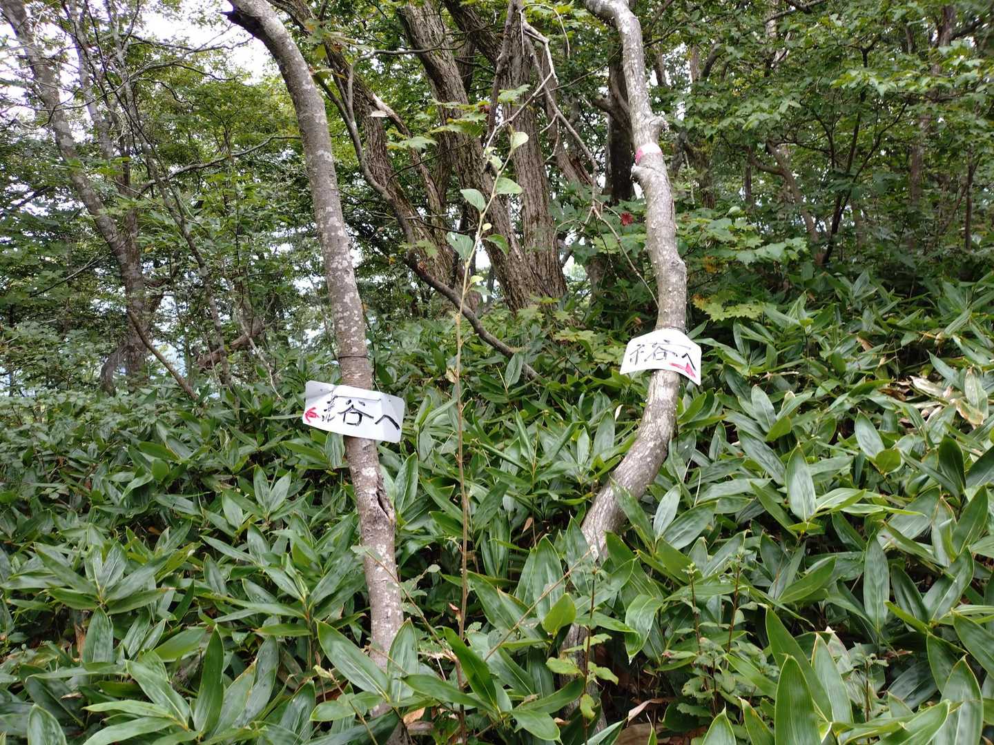 市谷の登山口-蟹ノ目山 周回コースの写真