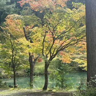 少し紅葉？