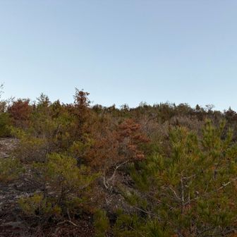 森林限界超えてからの景色がいきなり現れる