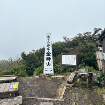 金時山山頂