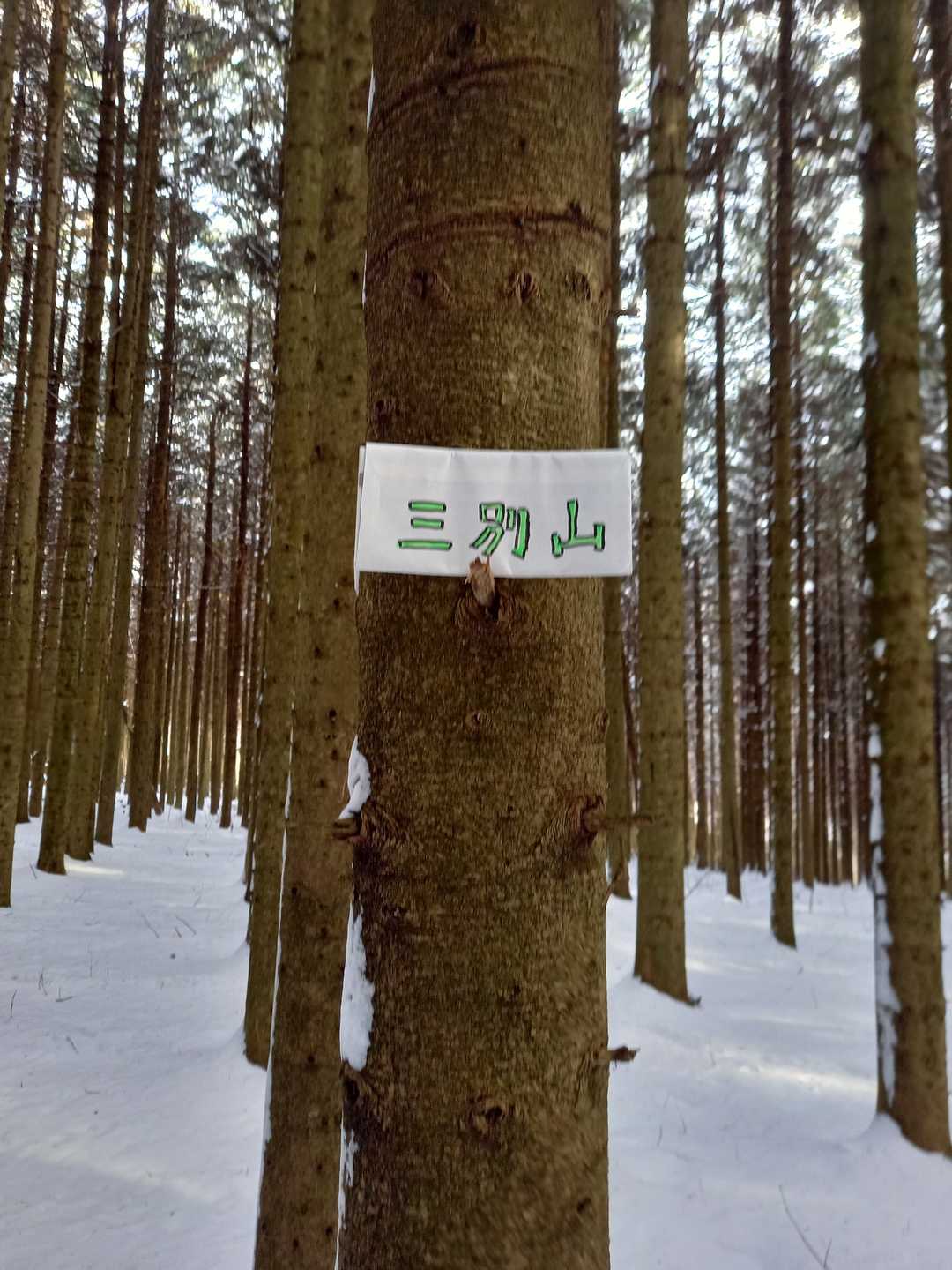 自作の汚い字　標識がないのわかってたので持って来ました　😊