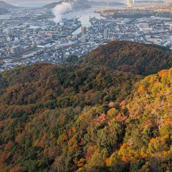 色のグラデーションが素晴らしい🎨🍁🍂