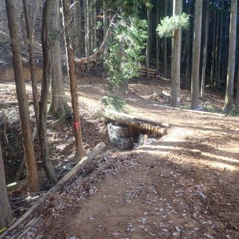 滝谷峠/林道にでる
