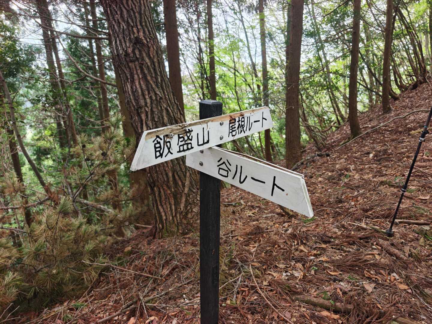 帰りは尾根ルートで