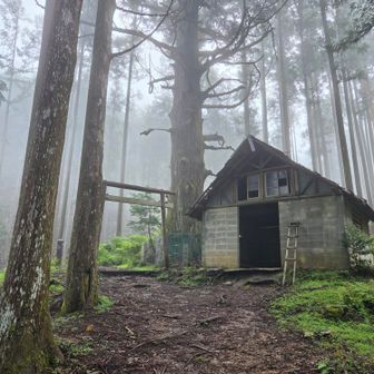 高見杉と避難小屋